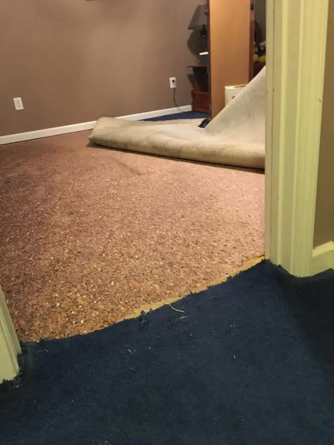 Carpet pad removal revealing water damage during Water Mitigation Services in Scott
