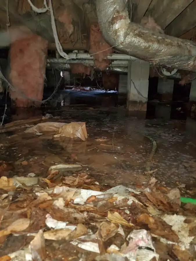 Crawl space flood assessment for Leak Detection & Repair in Scott